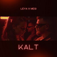Thumbnail for the LEYA - Kalt link, provided by host site