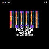 Thumbnail for the Pascal Nuzzo - Kaneda link, provided by host site