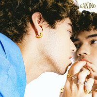 Thumbnail for the Silas - Kanino link, provided by host site