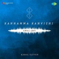 Thumbnail for the Sean Roldan - Kannamma Kanvizhi (From "Ratsasan") (Chill Lofi) link, provided by host site