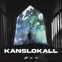 Thumbnail for the Dizzy - Känslokall link, provided by host site