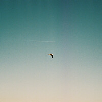 Thumbnail for the Jan Wagner - Kapitel 9 (Michael Benedikt Remix) link, provided by host site