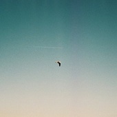 Thumbnail for the Jan Wagner - Kapitel 9 (Michael Benedikt Remix) link, provided by host site