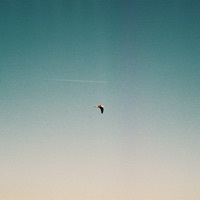 Thumbnail for the Jan Wagner - Kapitel 9 (Michael Benedikt Remix) link, provided by host site