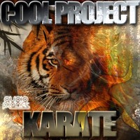 Image of Cool Project linking to their artist page due to link from them being at the top of the main table on this page