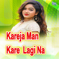 Thumbnail for the Suresh - Kareja Man Kare Lagi Na link, provided by host site