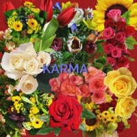 Thumbnail for the J. Ro - Karma link, provided by host site