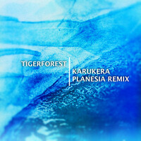 Thumbnail for the Tigerforest - Karukera (Planesia Remix) link, provided by host site