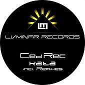 Image of Ced.Rec linking to their artist page due to link from them being at the top of the main table on this page
