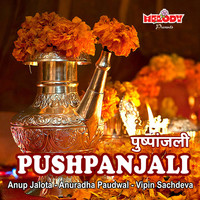 Thumbnail for the Anup Jalota - Kaushalya Ke Pyaare link, provided by host site