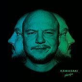 Thumbnail for the Pharfar - Kawasaki link, provided by host site