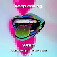 Thumbnail for the The Whip - keep calling link, provided by host site
