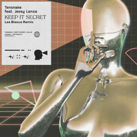 Thumbnail for the Tensnake - Keep It Secret (Les Bisous Remix) link, provided by host site