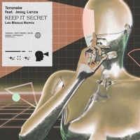 Thumbnail for the Tensnake - Keep It Secret [Les Bisous Remix] link, provided by host site