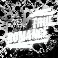Thumbnail for the Tensnake - Keep On Talking Remixes link, provided by host site