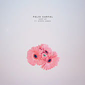 Thumbnail for the Felix Cartal - Keep Up link, provided by host site