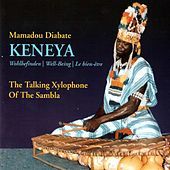 Thumbnail for the Mamadou Diabate - Keneya (The Talking Xylophone of the Sambla) link, provided by host site