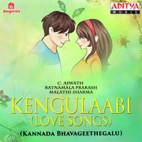 Thumbnail for the C.Aswath - Kengulaabi (Love Songs) link, provided by host site