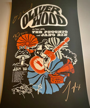 Thumbnail for the The Wood Brothers - Kennedy Center link, provided by host site