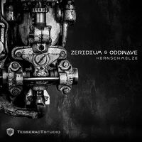Thumbnail for the Zeridium - Kernschmelze link, provided by host site