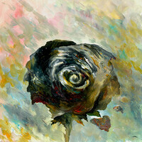 Thumbnail for the The World Is A Beautiful Place & I Am No Longer Afraid To Die - Kersed link, provided by host site