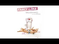 Thumbnail for the Walker Hayes - Fancy Like link, provided by host site