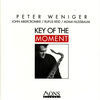 Thumbnail for the Peter Weniger - Key of the Moment link, provided by host site