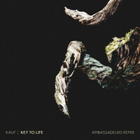 Thumbnail for the Kauf - Key to Life (Ambassadeurs Remix) link, provided by host site