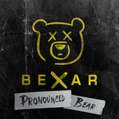 Thumbnail for the BEXAR - Key to Life link, provided by host site