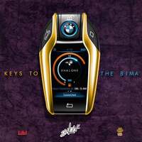 Thumbnail for the Shalone - Keys to the Bima link, provided by host site