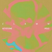 Thumbnail for the CLAMM - Keystone Pols link, provided by host site