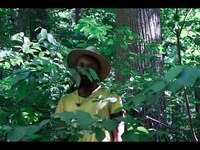 Thumbnail for the JPEGMAFIA - Kid Rock Freestyle 2014 link, provided by host site