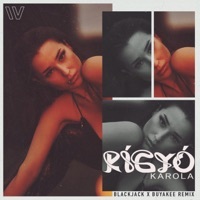 Thumbnail for the Karola - Kígyó (Blackjack x Buyakee Remix) link, provided by host site