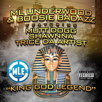 Thumbnail for the Boosie Badazz - King God Legend link, provided by host site