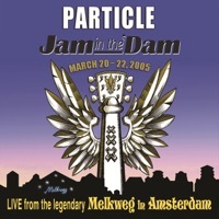 Thumbnail for the Particle - King Hassan (Live in Amsterdam, March 2005) link, provided by host site