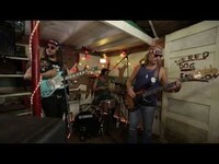 Thumbnail for the Liz Vice - King Tuff - Kind of Guy (Live @Pickathon 2013) link, provided by host site
