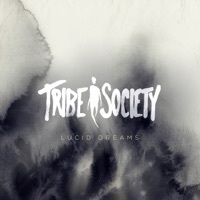 Image of Tribe Society linking to their artist page due to link from them being at the top of the main table on this page