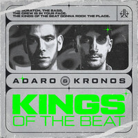 Thumbnail for the Adaro - Kings Of The Beat link, provided by host site