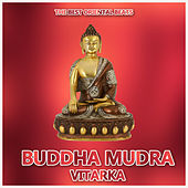 Thumbnail for the Jolly Mukherjee - Kirwani (Badmarsh & Shri Remix) link, provided by host site