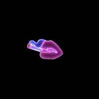 Thumbnail for the Addy - Kiss link, provided by host site