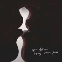 Thumbnail for the Dylan Matthew - Kissing Other Boys link, provided by host site