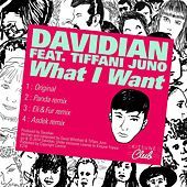 Thumbnail for the Davidian - Kitsuné: What I Want [Bonus Track Version] link, provided by host site