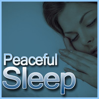 Thumbnail for the Baby Lullaby - Kitten's Magic Sleep Flute link, provided by host site
