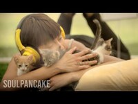 Thumbnail for the Ingrid Michaelson - Kitten Therapy: The Prescription for Stress link, provided by host site