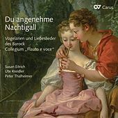 Thumbnail for the Collegium Flauto e Voce - Kleine Voglein, eure Scherze link, provided by host site