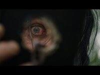 Thumbnail for the LINDEMANN - Knebel link, provided by host site