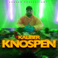 Thumbnail for the Kaliber - Knospen link, provided by host site