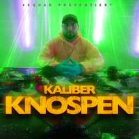 Thumbnail for the Kaliber - Knospen link, provided by host site