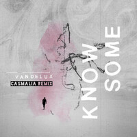 Thumbnail for the Vandelux - Know Some (Casmalia Remix) link, provided by host site