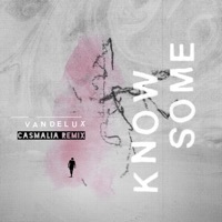 Thumbnail for the Vandelux - Know Some [Casmalia Remix] link, provided by host site